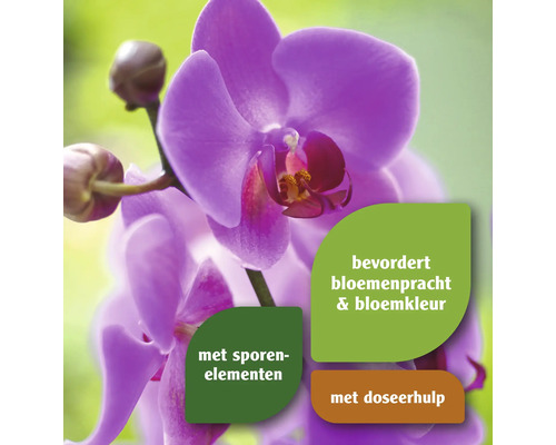 Close-up van een paarse orchidee met vermeldingen van sporenelementen, bloemenpracht, bloemkleur en doseerhulp