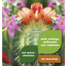 Voedingsstoffenformule voor vetplanten