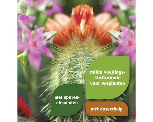 Voedingsstoffenformule voor vetplanten