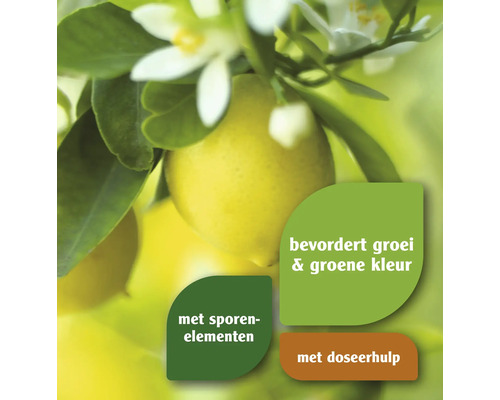 Citrusplant met opschrift dat de groei en groene kleur bevordert, met sporenelementen en doseerhulp