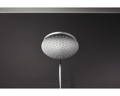 Ronde metalen hoofddouche met douche-arm