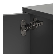 HETTICH Potscharnier Sensys met demping inliggend zwart