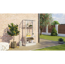 Tuinscene met kasrek, citroenboom en accessoires