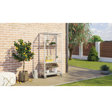 Tuinscene met plantenrek, citroenboom en tuindecoratie