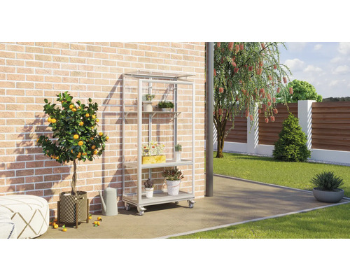 Tuinscene met plantenrek, citroenboom en tuindecoratie