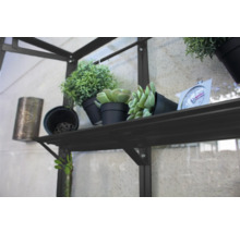 Rek met decoratieve objecten zoals planten en thermometer