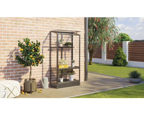 Metalen kweekkasrek met planten voor een bakstenen muur