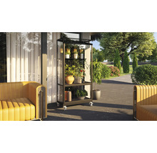 Kweekkasrek met planten op een terras