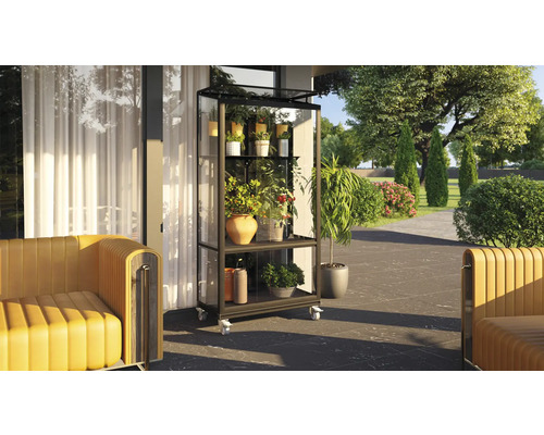 Kweekkasrek met planten op een terras