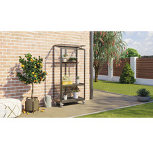 Buitenscène met een metalen plantenrek met planten op wielen