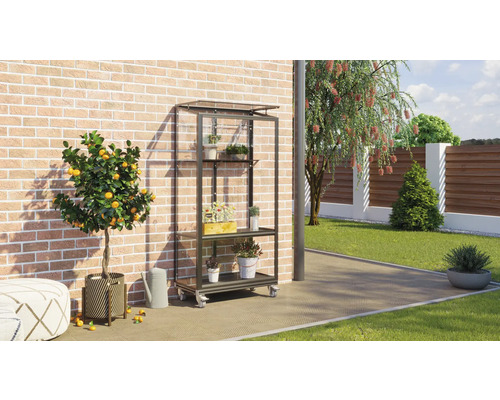 Buitenscène met een metalen plantenrek met planten op wielen