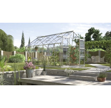 Tuin met kas en planten