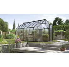 Tuinkas met planten en bloemen in de tuin