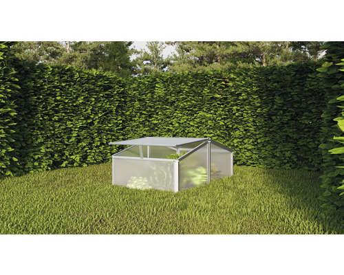Kas in de tuin met open dakraam