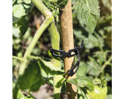Plantenklem voor het bevestigen van een plant aan een plantenstok