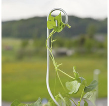 FLORASELF Tomatenspiraal met haak H 180 cm