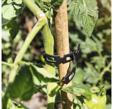 Plantenklem om een plant aan een stok te bevestigen
