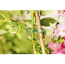 FLORASELF Plantenringbinder groen 25 st.