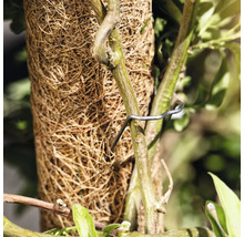 FLORASELF Plantenclip krammen metaal 50 st.
