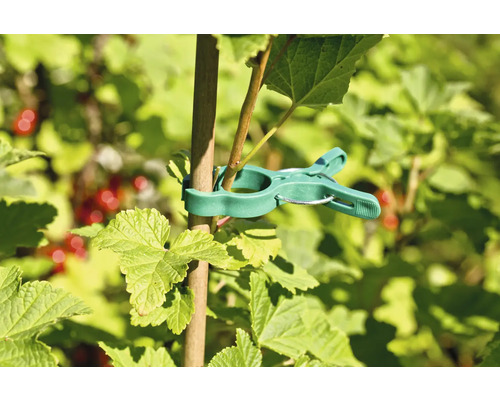 Plantenklem voor het bevestigen van planten aan een stok