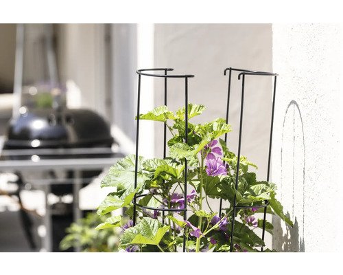 Bloembed met plantensteun en bloeiende planten