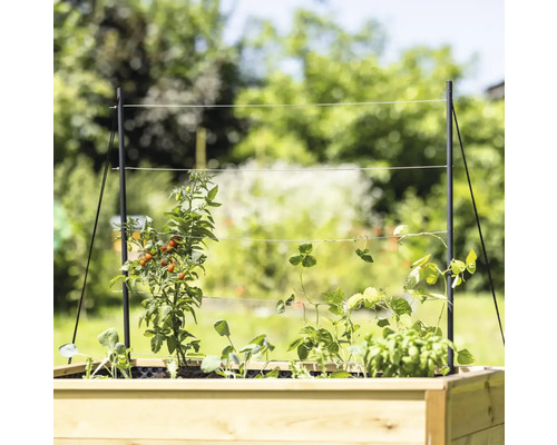 Hoge plantenbak met plantensteun en diverse groenten