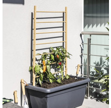 FLORASELF Plantensteun hout 60x120 cm