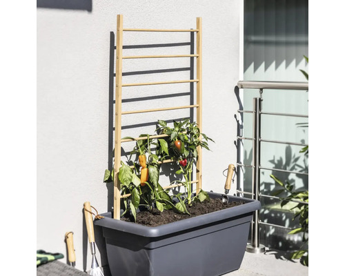 Hoge plantenbak met houten klimrek en groenteplanten, evenals tuingereedschap