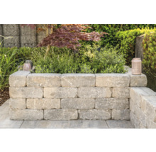 Verhoogde tuinbed van betonstenen in tuin met planten