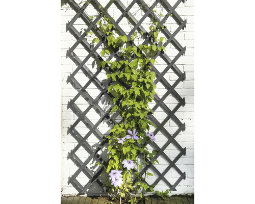 Houten trellis met klimplant en bloemen tegen een muur