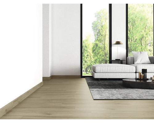 Woonkamer met houten vloer, bank, tapijt en ramen