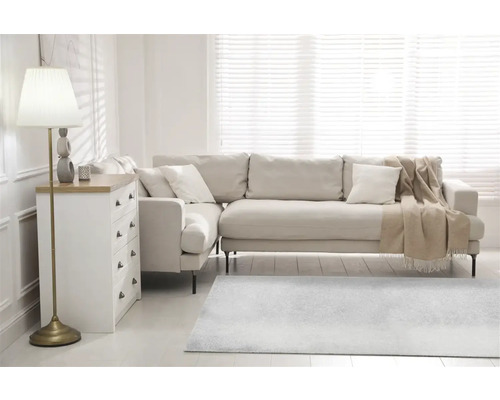 Woonkamer met hoekbank, ladekast, vloerlamp en tapijt