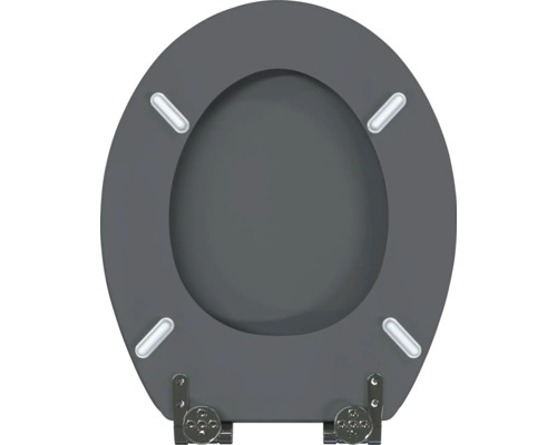 Toiletdeksel van Duroplast met softclosemechanisme