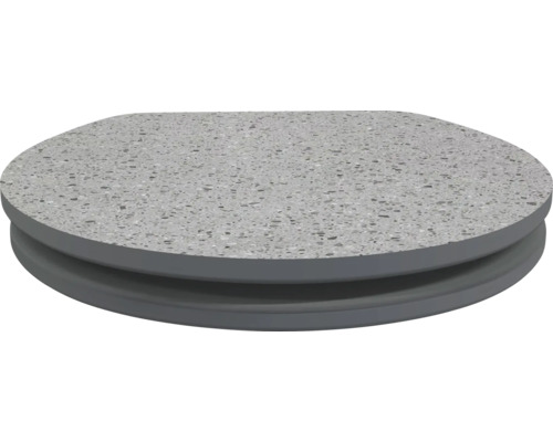 Grijze toiletbril van duroplast