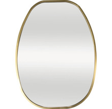Ovale spiegel met frame