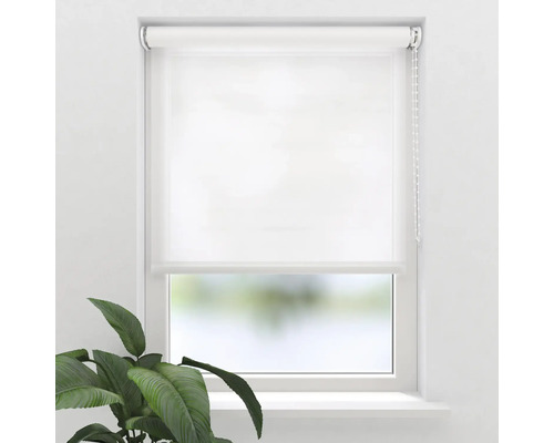 SOLUNA Rolgordijn transparant T19 uni wit 40x190 cm Wit rolgordijn voor een raam met plant
