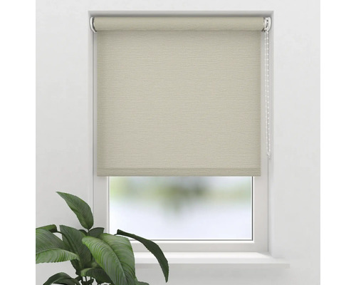 SOLUNA Rolgordijn lichtdoorlatend T12 structuur natuur crème 40x190 cm Beige rolgordijnen in gesloten toestand voor een raam