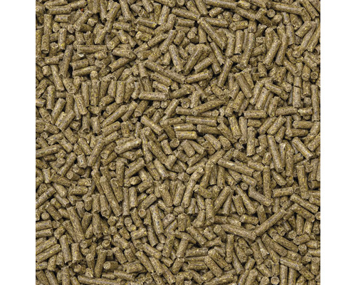 Close-up van diervoederkorrels