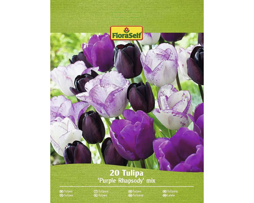 FLORASELF Bloembollen Tulpen Tulipa 16 Stuks