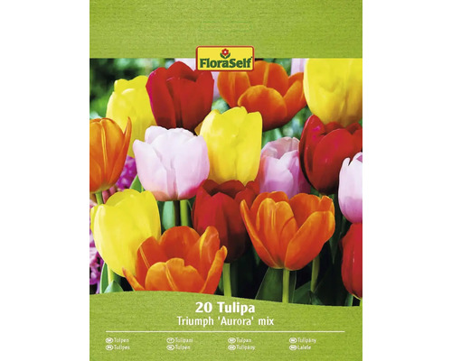 FLORASELF Bloembollen Tulpen Tulipa 15 Stuks