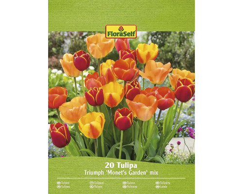 FLORASELF Bloembollen Tulpen Tulipa 20 Stuks