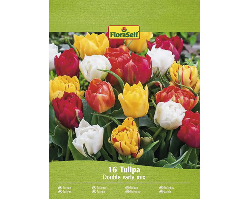 FLORASELF Bloembollen Tulpen Tulipa 20 Stuks