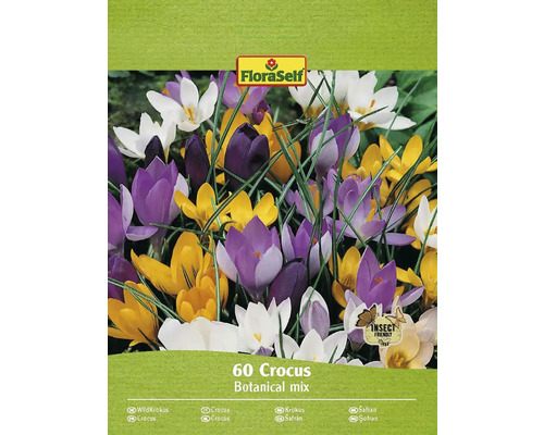 FLORASELF Bloembollen Krokus Crocus 8 Stuks