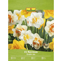FLORASELF Bloembollen Narcis Narcissus 20 Stuks