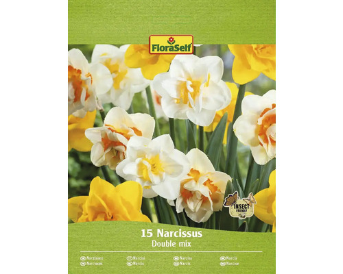 FLORASELF Bloembollen Narcis Narcissus 20 Stuks