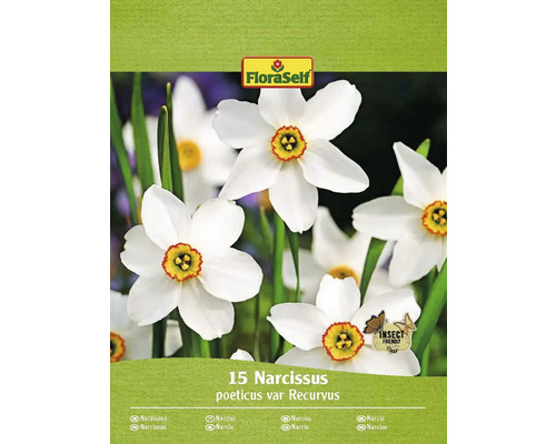 FLORASELF Bloembollen Narcis Narcissus 15 Stuks