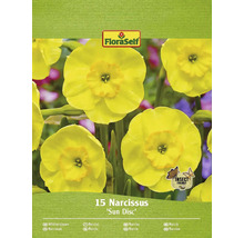 FLORASELF Bloembollen Narcis Narcissus 15 Stuks