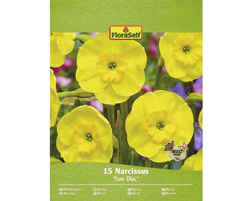 FLORASELF Bloembollen Narcis Narcissus 15 Stuks