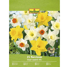 Verpakking narcissenmix met 15 bloembollen