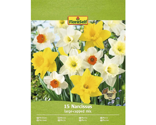 FLORASELF Bloembollen Narcis Narcissus 25 Stuks